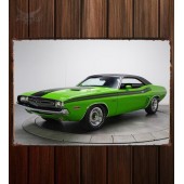 Металлическая табличка Dodge Challenger R T 225